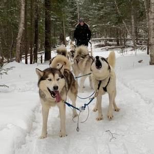 Meet your Posher, Elisabeth